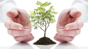 Lead Nurturing, the No-Brainer for Sales Growth