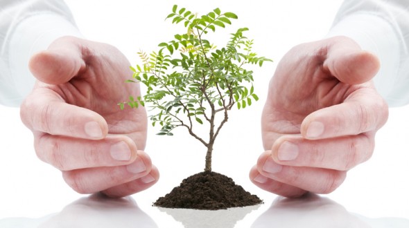 Lead Nurturing, the No-Brainer for Sales Growth