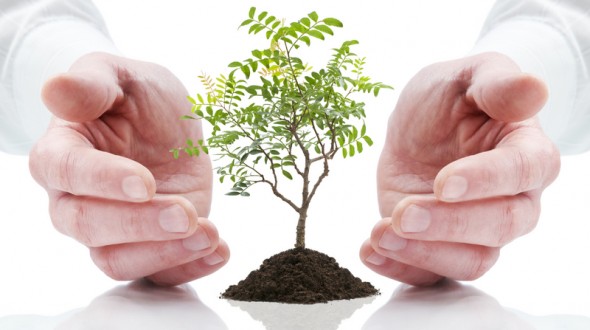 Lead Nurturing, the No-Brainer for Sales Growth