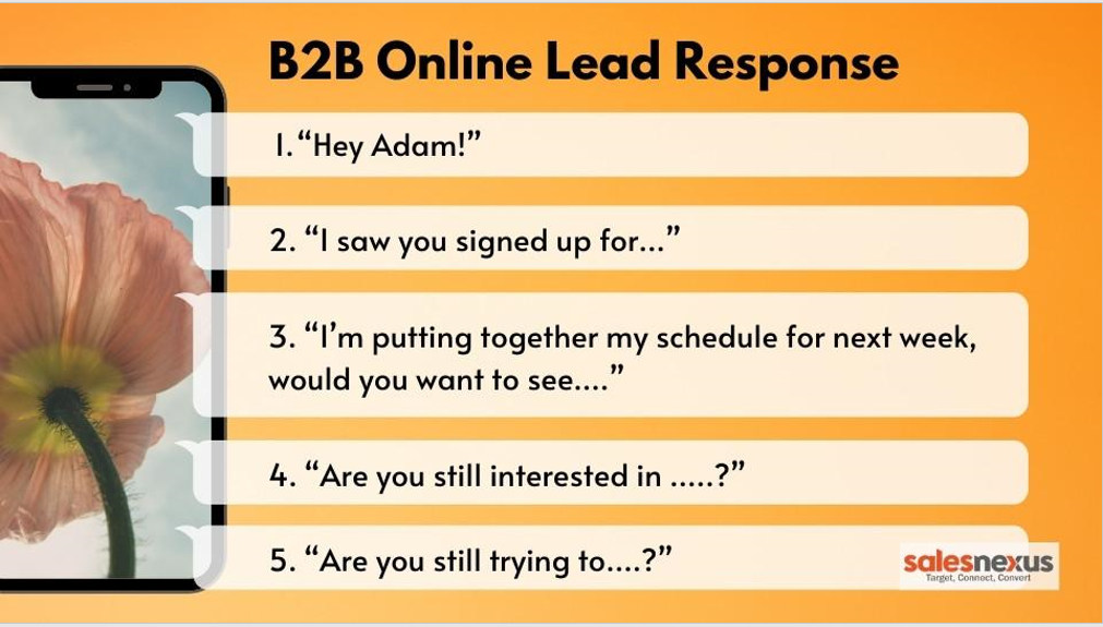 B2B online lead response